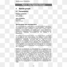 Document, HD Png Download - fishnet texture png