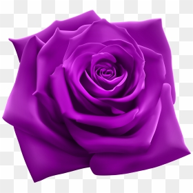 Rose Clipart Image Gallery - Most Beautiful Rose Png, Transparent Png - rose flower png