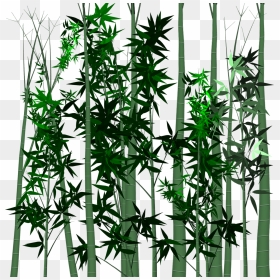 Leaf Bamboo Plant - Portable Network Graphics, HD Png Download - tropical plant png