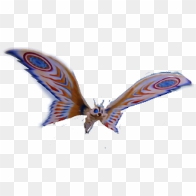 Armor Mothra , Png Download - Armor Mothra Png, Transparent Png - mothra png