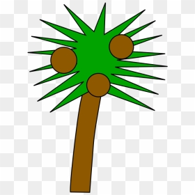 Transparent Cartoon Palm Tree Png - Palm Trees, Png Download - cartoon palm tree png