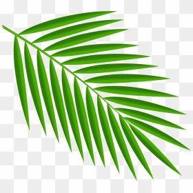Green Palm Leaves Png Clipart - Palm Leaf Clipart Png, Transparent Png - palm fronds png