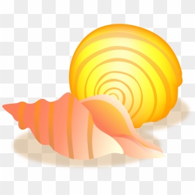 Conch Sea Snail Seashell - Conch, HD Png Download - sea shell png