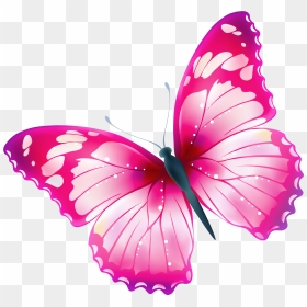 Butterfly Png Clipart, Transparent Png - butterfly.png
