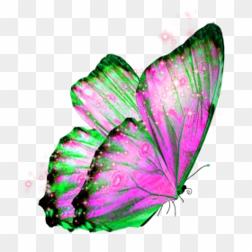 #butterfly #wings #butterflywings #fairy - Transparent Background Butterfly Png, Png Download - butterfly wings png