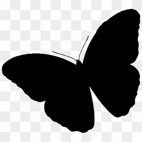 Brush-footed Butterflies Clip Art Silhouette Black - Butterfly Png Black And White, Transparent Png - butterfly.png