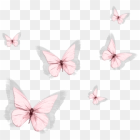 Aesthetic Pink Butterfly Png, Transparent Png - pink butterfly png