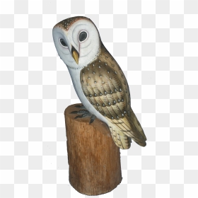 Log In To Your Account - Barn Owl, HD Png Download - ovo owl png