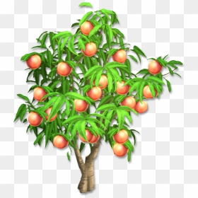 Peach Tree Png Clipart, Transparent Png - watercolor tree png
