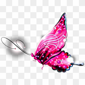 Butterfly Png Image Free Picture Download - 3d Butterfly Png, Transparent Png - pink butterfly png