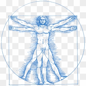 Transparent Vitruvian Man Png - Vitruvian Man Tattoo Design, Png Download - vitruvian man png