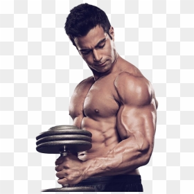 Bodybuilding Png Images - Gym Bodybuilding Png, Transparent Png - bodybuilder png