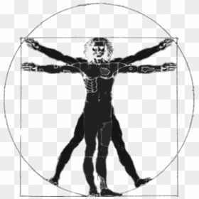 Vitruvian Man Silhouette - Transparent Vitruvian Man Clipart, HD Png Download - vitruvian man png