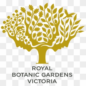 Transparent Eucalyptus Png - Royal Botanic Gardens Logo, Png Download - eucalyptus png
