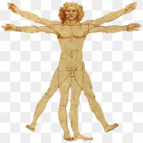 Portale Leonardo Da Vinci - Leonardo Da Vinci Png, Transparent Png - vitruvian man png
