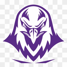 Falcon 4 - Eagle Head Png, Transparent Png - falcons png