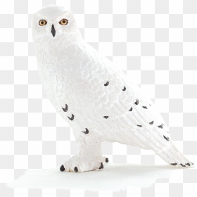 Animal Planet Snowy Owl - Snowy Owl, HD Png Download - ovo owl png
