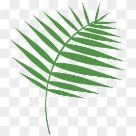 Palm Sunday Images Download, HD Png Download - palm fronds png