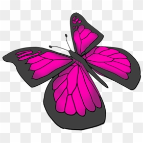 Purple Butterfly Drawing - Beautiful Butterfly Drawing, HD Png Download - pink butterfly png