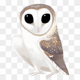 Eastern Barn Owl Tyto Delicatula - Barn Owl, HD Png Download - ovo owl png