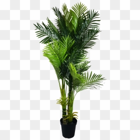 Palm Fronds Png, Transparent Png - palm fronds png