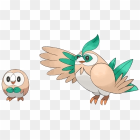 Made A Rowlet Evo To Go With My Litten Evo - Pokémon Sun And Moon, HD Png Download - litten png