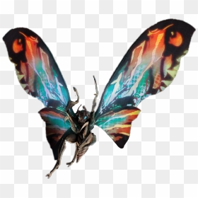 #godzilla #mothra - Mothra Transparent, HD Png Download - mothra png