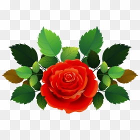 Rose, HD Png Download - rose bush png