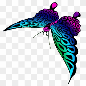 Strange Colored Butterfly - Colorful Rainbow Butterfly Transparent, HD Png Download - butterfly wings png