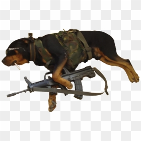 Dog, HD Png Download - holding gun png