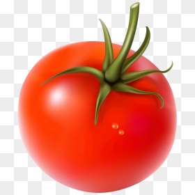Fresh Tomato Hd Png, Transparent Png - tomato slice png