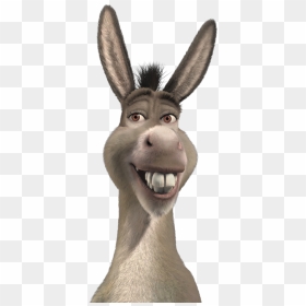 Donkey From Shrek Png, Transparent Png - shrek head png