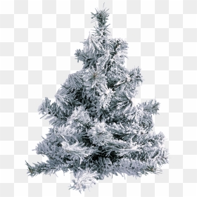 Gifs De Arboles De Navidad Png , Png Download - Christmas Tree With Frost, Transparent Png - arboles png