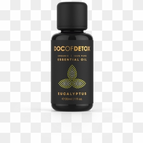 Herb, HD Png Download - eucalyptus png