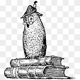 Owl On Books Png , Png Download - Wisdom Black And White, Transparent Png - ovo owl png