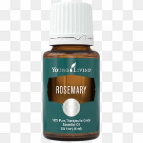 Rosemary Essential Oil Recipes - Young Living Pine Oil, HD Png Download - young living logo png