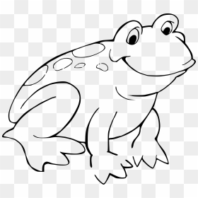 Banner Library Stock Grenouille Big Image Png - Frog Coloring Pages, Transparent Png - banner outline png