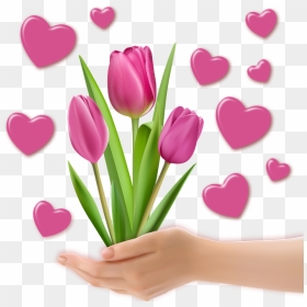 Png Image, Decoration, Tulips, Heart, Valentine, Hands - Good Morning Quotes Telugu, Transparent Png - drawn heart outline png
