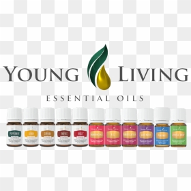 Young Living Essential Oils Christmas, HD Png Download - young living logo png