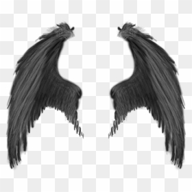 Wing Png Hd - Devil Wings Png, Transparent Png - dragon wings png