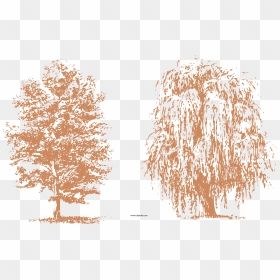 Transparent Tree Clipart Png - Dibujos De Arboles Con Estilografo, Png Download - arboles png