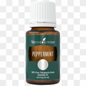 Young Living Eucalyptus Globulus Essential Oil 15 Ml - Cypress Essential Oil Png, Transparent Png - eucalyptus png