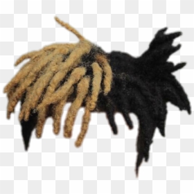 Xxxtentacion Dreads Png - Xxxtentacion Hair Png, Transparent Png - lil yachty hair png