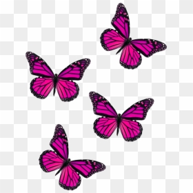 #butterfly #fly #pink #butterflies #freetoedit - Aesthetic Butterfly Wallpaper Vsco, HD Png Download - pink butterfly png