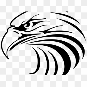 Philippine Eagle Clipart - Eagle Head Vector Png, Transparent Png - eagle clipart png
