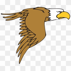 Flying Cartoon Eagle Clipart - Cartoon Hawk Clipart, HD Png Download - eagle clipart png