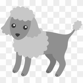 Miniature Poodle Puppy Toy Poodle Clip Art - Gray Poodle Clip Art, HD Png Download - poodle png