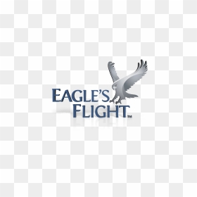 Want To Become An Eagle"s Flight Global Licensee - Eagles Flight, HD Png Download - eagle globe and anchor png
