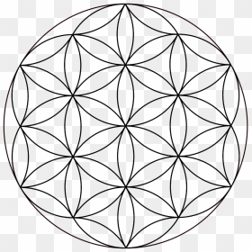 Overlapping Circles Grid Sacred Geometry Vitruvian - Sacred Geometry Patterns Png, Transparent Png - vitruvian man png