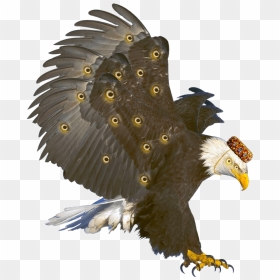 Transparent Seraphim Clipart - Perched Bald Eagle Png, Png Download - eagle clipart png